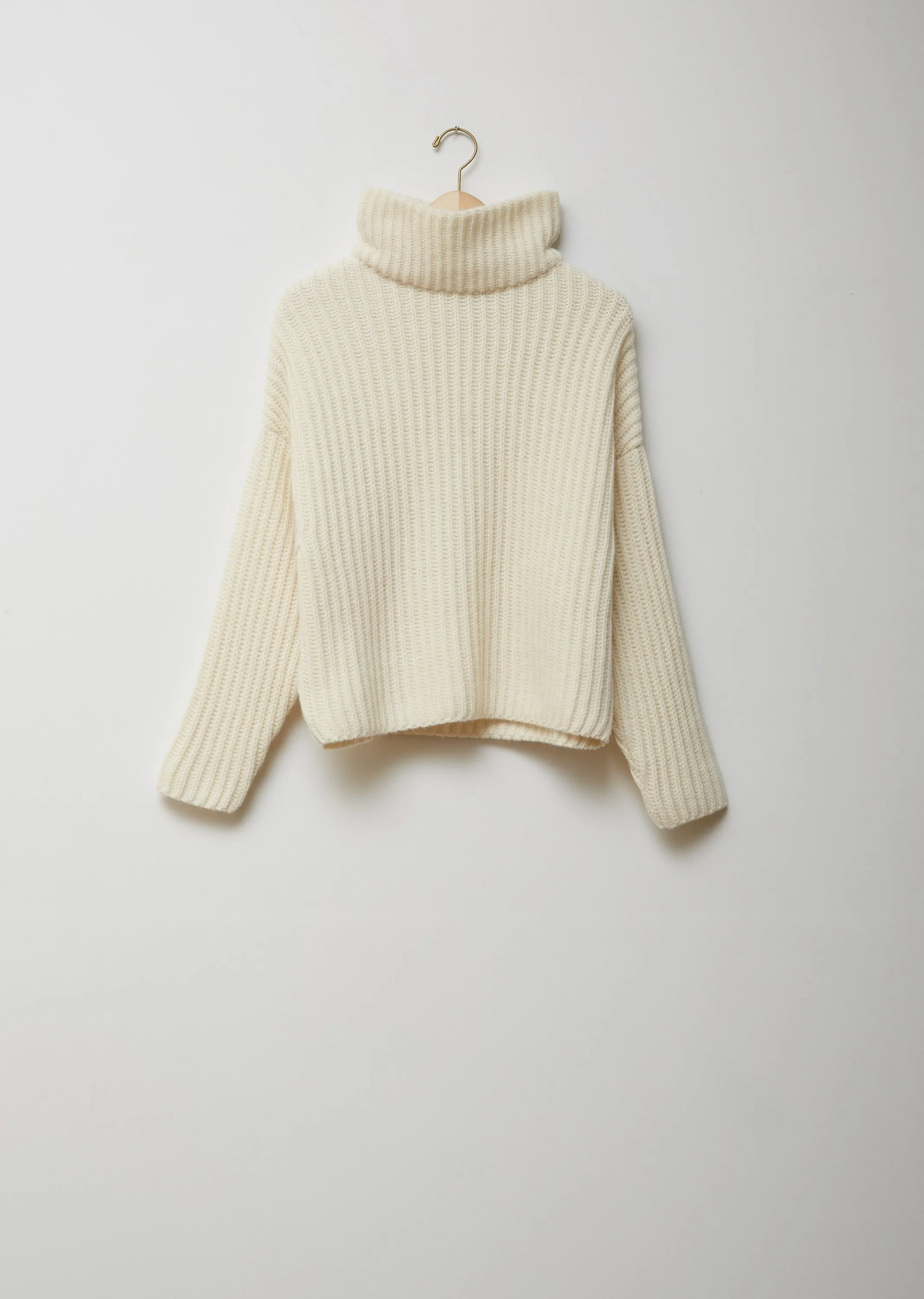 Alpaca Batwinged Turtleneck Sweater